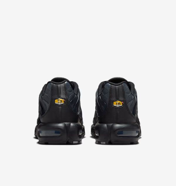 Nike Air Max TN Paris Limited